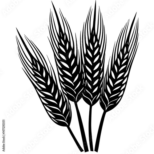 Wheat Silhouette Vector , Bold Black and White Wheat Ears Illustration