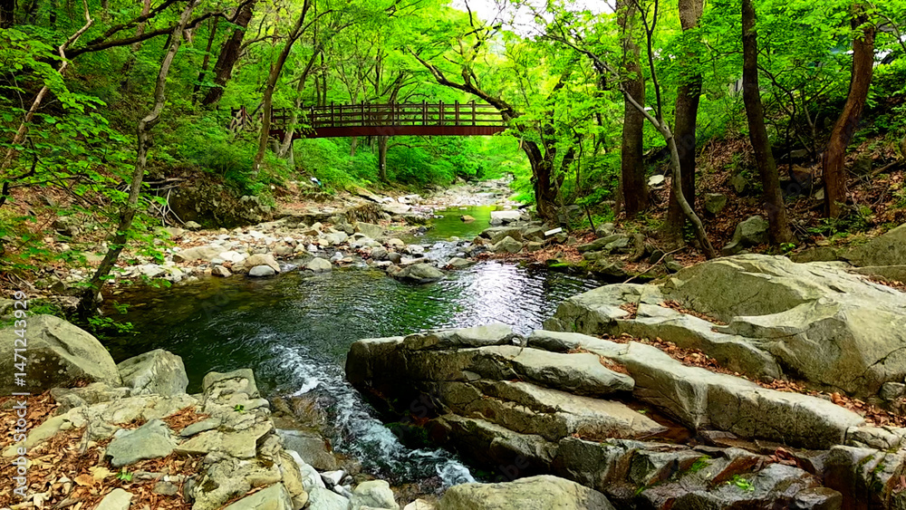 Obraz premium Valley for Summer Vacation ,Slow Motion ,Clear Stream flowing over rocks and rocks ,Rich Valley in slow motion ,Crystal clear water spills over rocks ,Silent natural scene ,Silent flowing riverbed