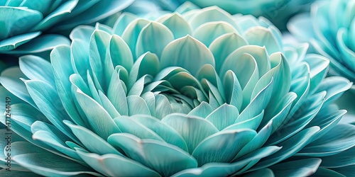 Teal Flower Petals Close-up, Delicate Floral, Soft Muted Tones