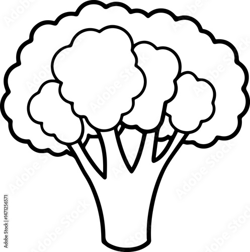 broccoli outline vector illustraion