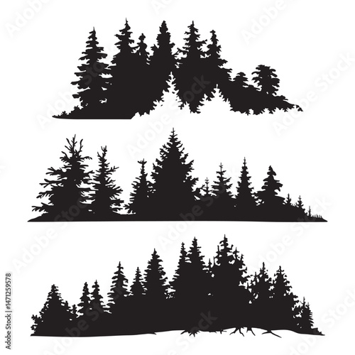 Pine tree silhouettes. Evergreen forest firs and spruces black shapes, wild nature trees templates.