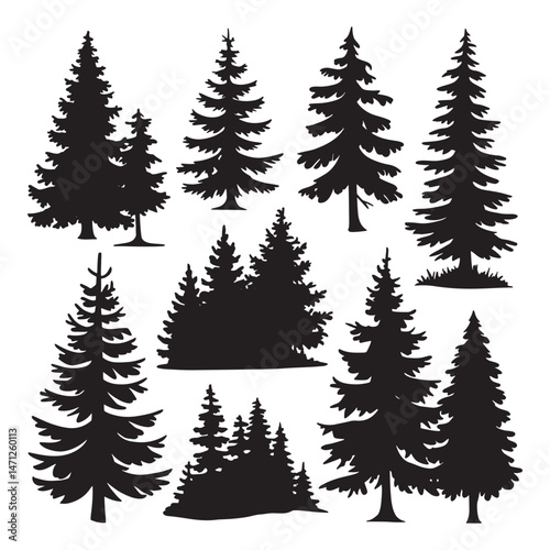 Pine tree silhouettes. Evergreen forest firs and spruces black shapes, wild nature trees templates.