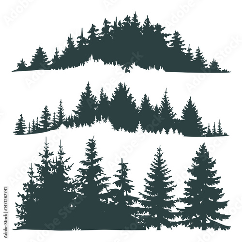 Pine tree silhouettes. Evergreen forest firs and spruces black shapes, wild nature trees templates.