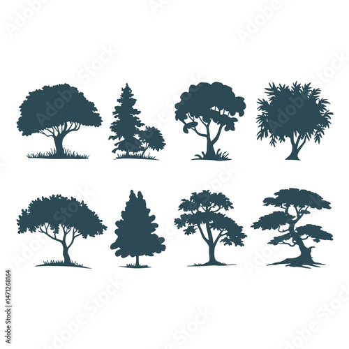 Pine tree silhouettes. Evergreen forest firs and spruces black shapes, wild nature trees templates.