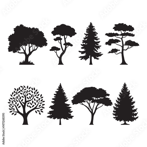 Pine tree silhouettes. Evergreen forest firs and spruces black shapes, wild nature trees templates.