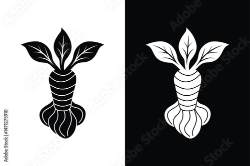 Ginger Root Vector. Classic Herbal Icon Design in Monochrome Style