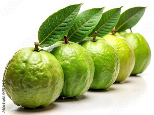 Green Guava Row - Low Light Photography