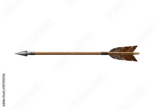 Traditional wooden arrow with metal tip
