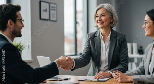 Successful Job Interview Handshake Business Meeting