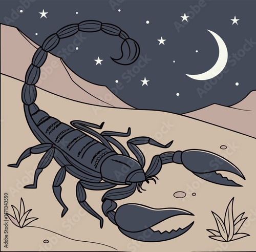 Scorpion and Scorpio Constellation at Night