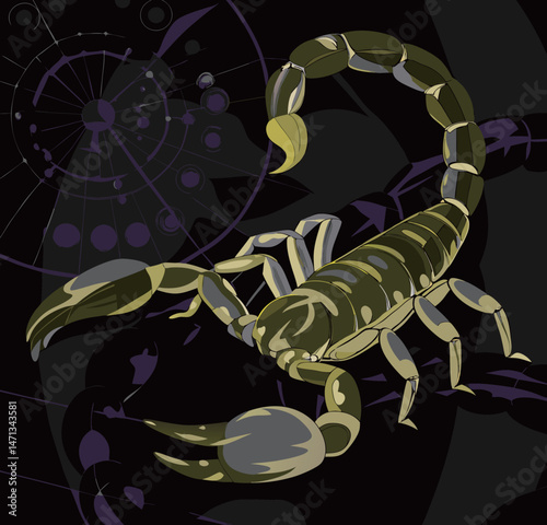 Nocturnal Scene with Scorpion and Stars