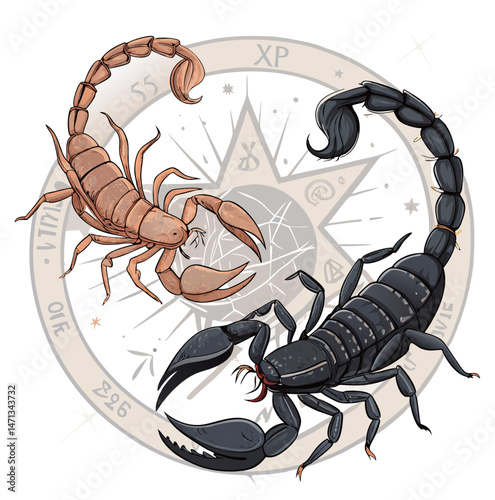 Graphic Scorpion with Cosmic Elements