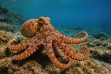 Colorful octopus underwater scene.