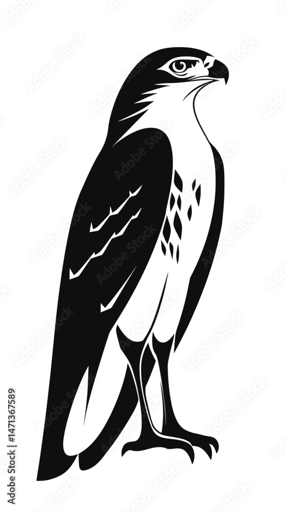Fototapeta premium Black and white vector illustration of a hawk bird standing side view minimalist flat design animal silhouette sharp beak and claws detailed feathers