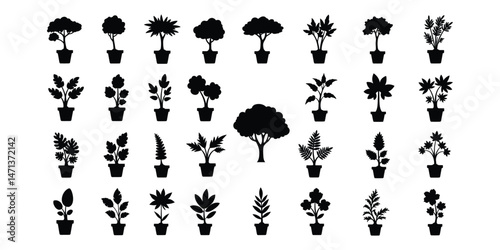Assorted Silhouette Indoor Plant Collection for Home or Office	