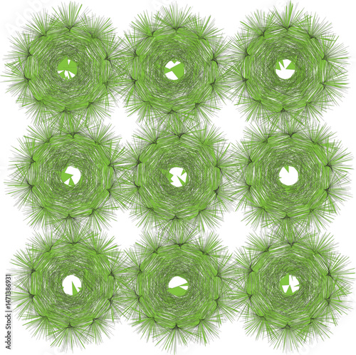 Green Moss on White Background