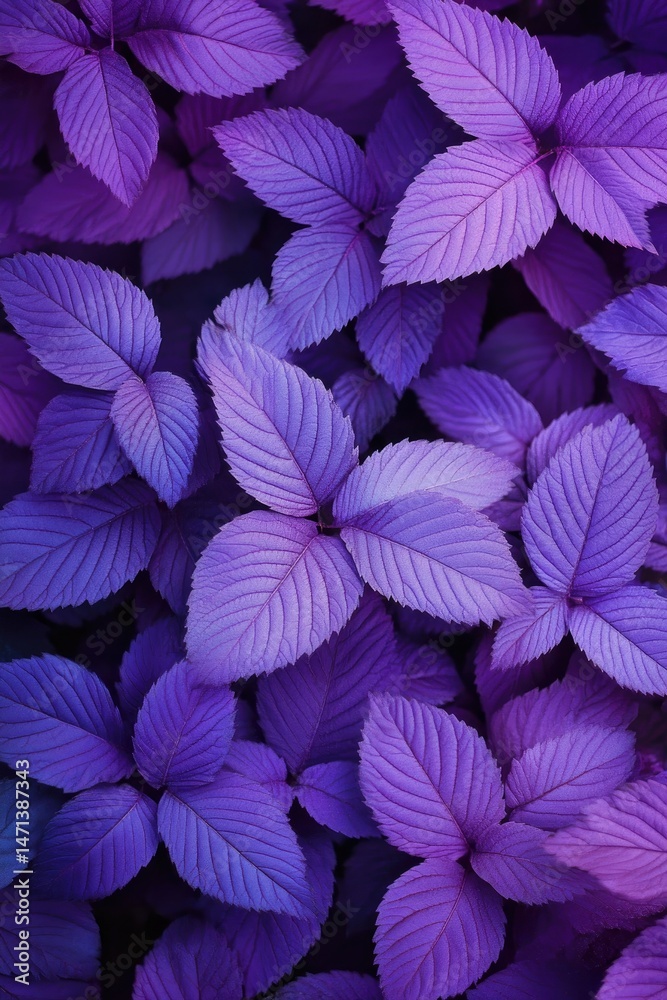 custom made wallpaper toronto digitalLush purple foliage, vibrant hues, textured leaves