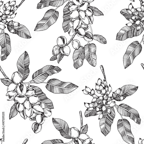 Seamless vector pattern with hand drawn ink pistachio nuts and leaves. Template for food, drink label design