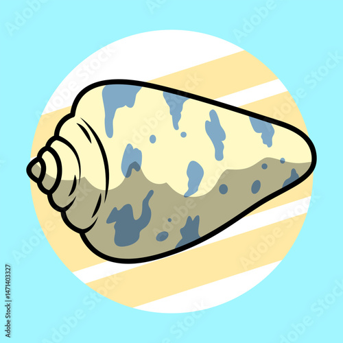 sea snail shell
