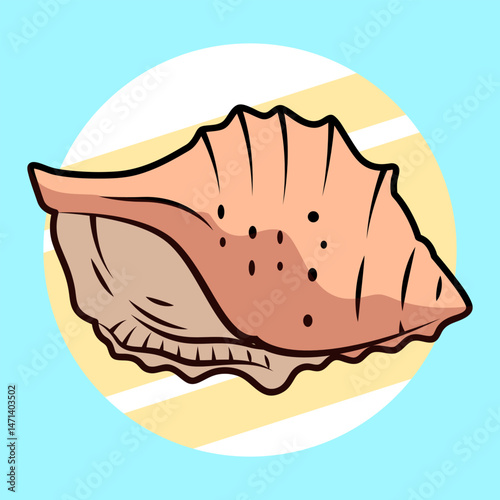 snail shell illustration