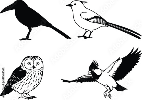 Set of four black and white bird illustrations featuring an owl, a flying bird, a crested bird, and a perched silhouette