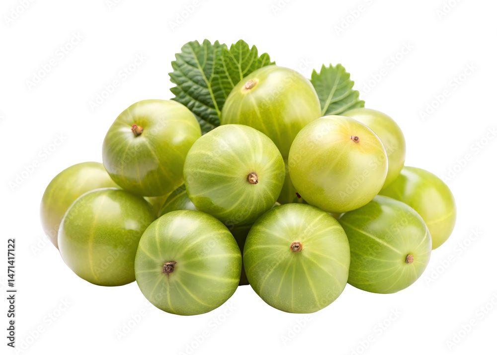 Obraz premium gooseberries clipart png image on transparent background