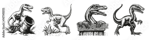 Vintage Dinosaur Illustration of Various Dino Designs, vector illustration, engraving design, logo design set, black and white line