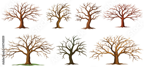 Set of bare, leafless trees with empty branches isolated on a white background. Vector