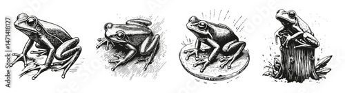 Vintage Frogs Illustrations in Engraved Style for Nature Lovers, vector illustration, engraving design, logo design set, black and white line