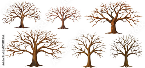 set of big trees without leaves , dead old trees on ,White background ,vector