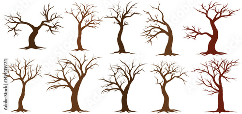 Vector Set of Brown Cartoon Bare Trees without Leaves vector