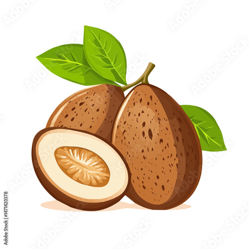 My Simple flat 2D illustration of sapodilla collection isolated on a transparent background, vector, flat design, animation design, simple flat 2D icon, clipart