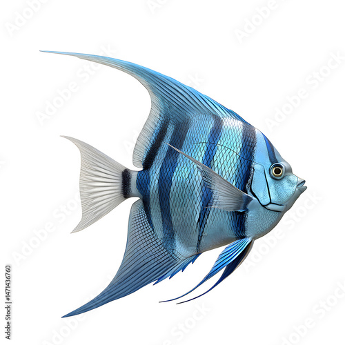 3d angelfish fish white background