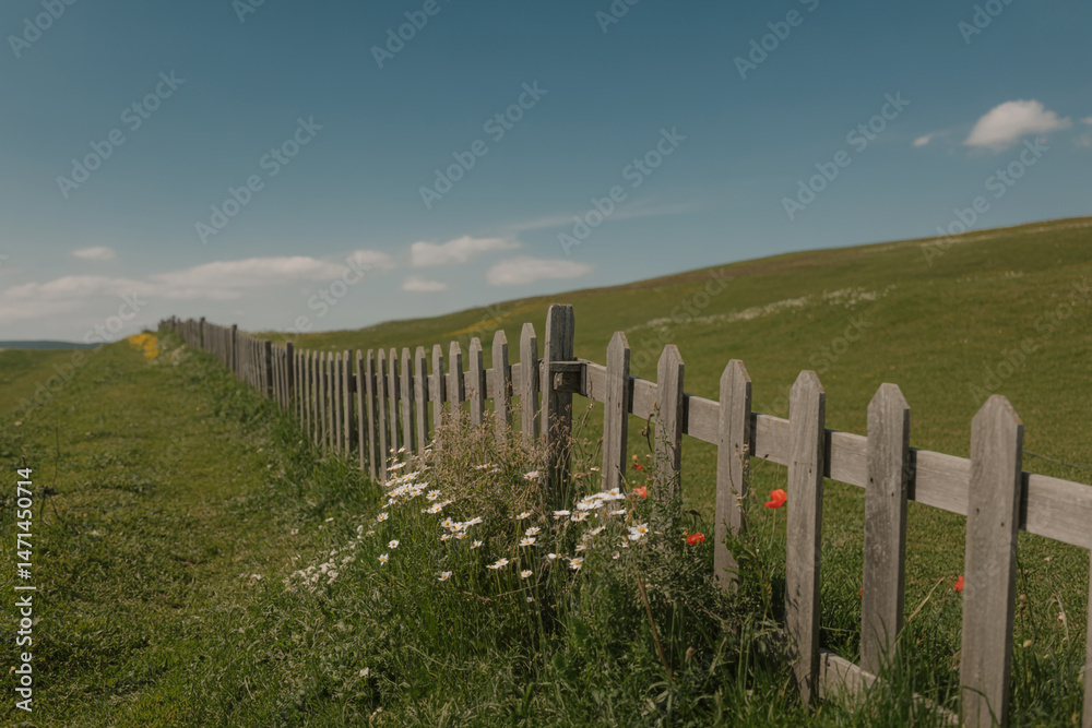 Obraz premium Rustic Wooden Fence Bordering A Green Grassy Hillside Under A Sunny Blue Sky