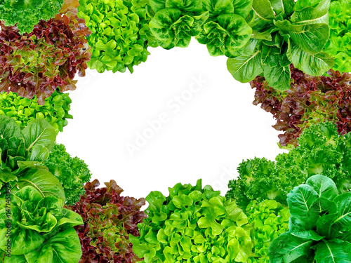 Frame set of lettuce leaves isolated on a white background.