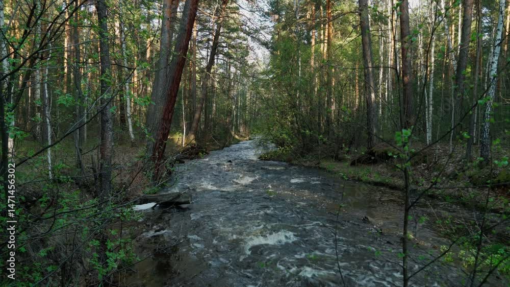 A forest mountain river with a fast current and a small waterfall. Beautiful natural landscape bathed in sunlight. The background image. A forest mountain river with a fast current and a small waterfall. Beautiful natural landscape bathed in sunlight. The background image.