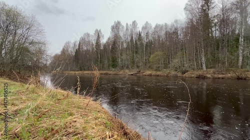 Footage of a view from the shore of the fast flowing full-flowing Kapsha River in the Leningrad Region in May.