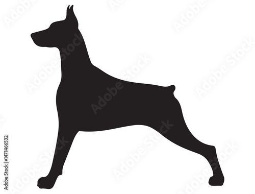 DOBERMAN DOG SILHOUETTE