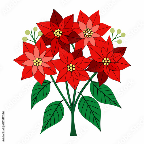 Poinsettia Bouquet Vector on White