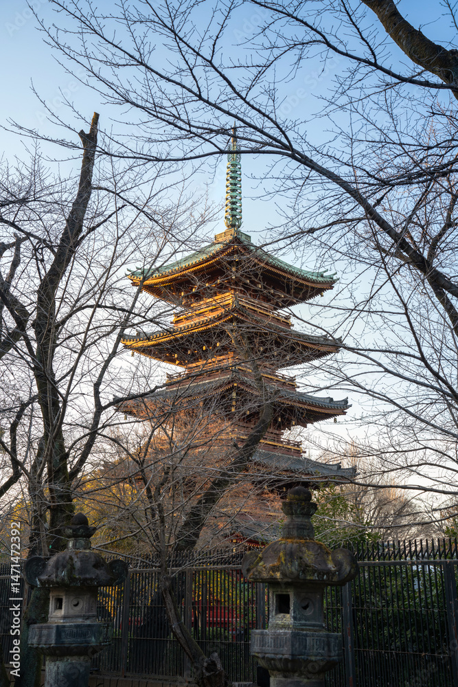 Fototapeta premium Traditional five-story Japanese pagoda stands tall behind leafless trees at sunset, showcasing historical architecture and cultural heritage in a peaceful temple setting in Tokyo, Japan.
