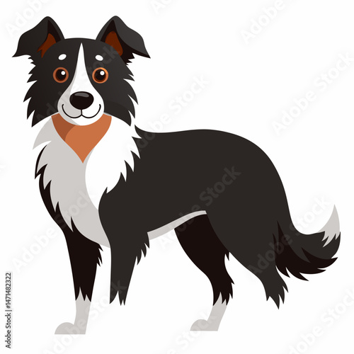 Minimalist Border Collie Vector on White Background