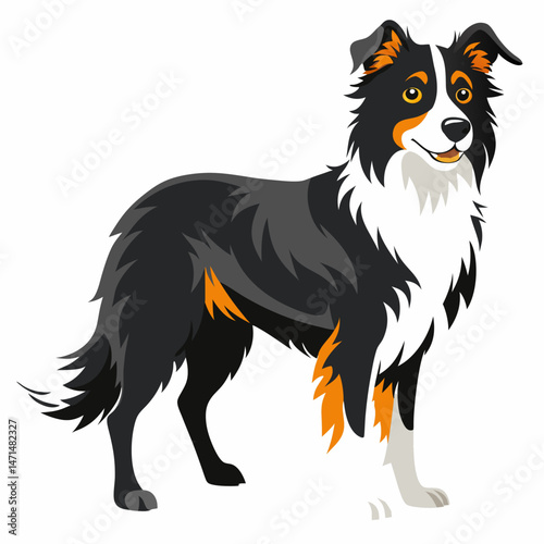 Minimalist Border Collie Vector on White Background
