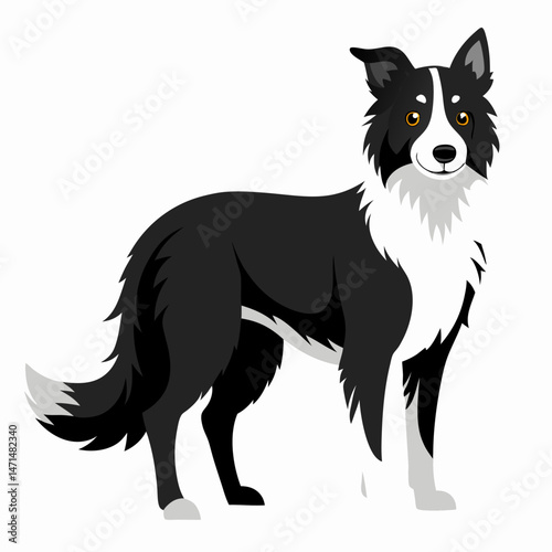 Minimalist Border Collie Vector on White Background
