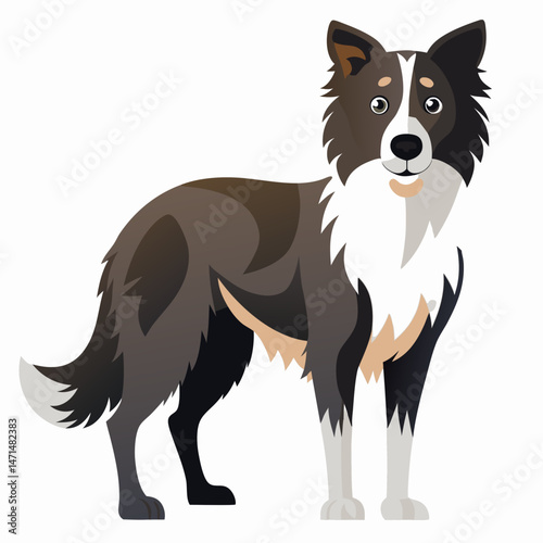 Minimalist Border Collie Vector on White Background