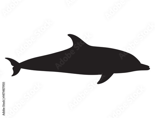 DOLPHIN SILHOUETTE WHITE BACKGROUND