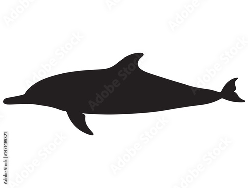 DOLPHIN SILHOUETTE WHITE BACKGROUND