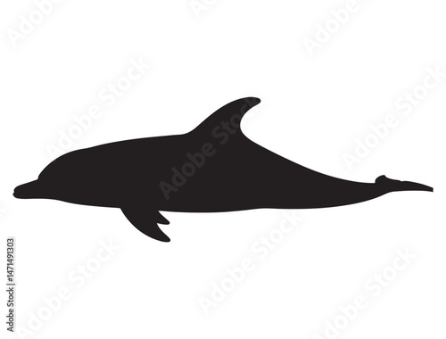 DOLPHIN SILHOUETTE WHITE BACKGROUND