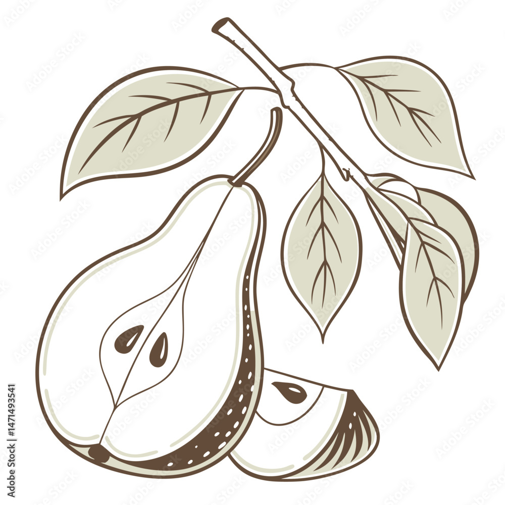 Naklejka premium Pear Adobe Illustrator Artwork