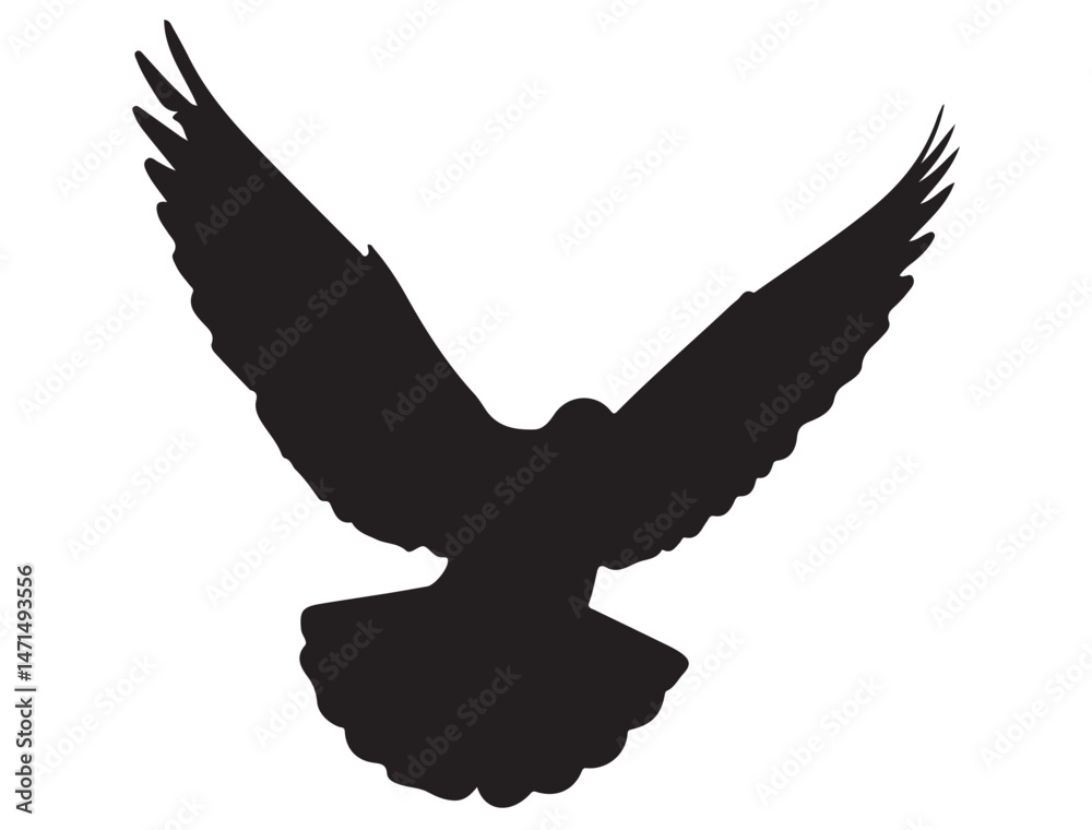 Obraz premium DOVE SILHOUETTE WHITE BACKGROUND