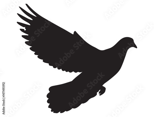 DOVE SILHOUETTE WHITE BACKGROUND